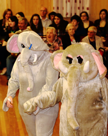 Baby elephants
