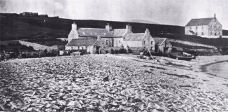Curing fish on a beach at Hillswick