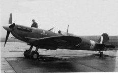 Shetland Spitfire