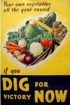 Dig for victory poster